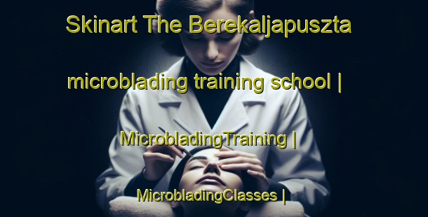 Skinart The Berekaljapuszta microblading training school | MicrobladingTraining | MicrobladingClasses | SkinartTraining-Hungary